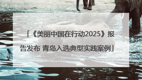 《美丽中国在行动2025》报告发布 青岛入选典型实践案例