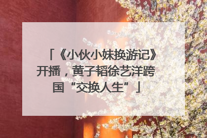 《小伙小妹换游记》开播，黄子韬徐艺洋跨国“交换人生”
