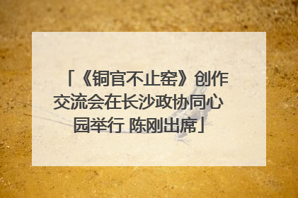 《铜官不止窑》创作交流会在长沙政协同心园举行 陈刚出席