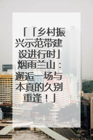 「乡村振兴示范带建设进行时」烟雨兰山：邂逅一场与本真的久别重逢！
