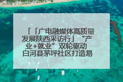「广电融媒体高质量发展陕西采访行」“产业+就业”双轮驱动 白河县茅坪社区打造易地搬迁后扶新样本