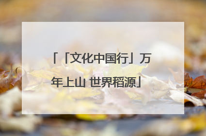 「文化中国行」万年上山 世界稻源