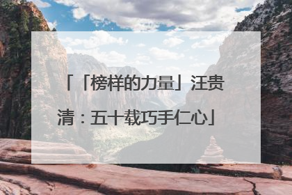 「榜样的力量」汪贵清：五十载巧手仁心