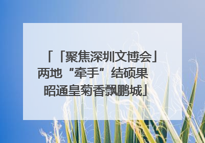 「聚焦深圳文博会」两地“牵手”结硕果 昭通皇菊香飘鹏城
