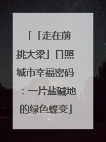 「走在前 挑大梁」日照城市幸福密码：一片盐碱地的绿色蝶变