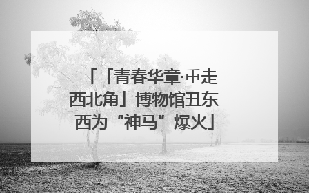 「青春华章·重走西北角」博物馆丑东西为“神马”爆火