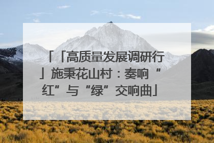 「高质量发展调研行」施秉花山村：奏响“红”与“绿”交响曲