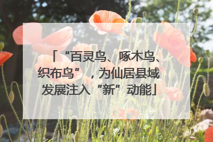 “百灵鸟、啄木鸟、织布鸟”，为仙居县域发展注入“新”动能