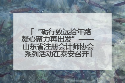 “砺行致远拾年路 凝心聚力再出发”——山东省注册会计师协会系列活动在泰安召开