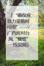 “确保应急力量随时可用”——广西应对台风“蝴蝶”一线见闻