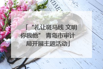 “礼让斑马线 文明你我他” 青岛市审计局开展主题活动