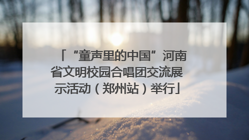 “童声里的中国”河南省文明校园合唱团交流展示活动（郑州站）举行