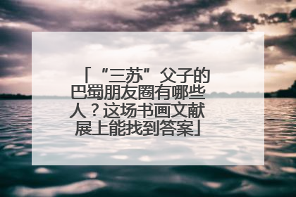 “三苏”父子的巴蜀朋友圈有哪些人？这场书画文献展上能找到答案