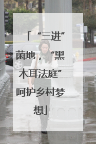 “三进”菌地，“黑木耳法庭”呵护乡村梦想