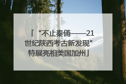 “不止秦俑——21世纪陕西考古新发现”特展亮相美国加州