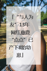 “与人为友”13年 网红麋鹿“点点”已产下8胎幼崽