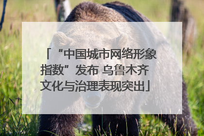 “中国城市网络形象指数”发布 乌鲁木齐文化与治理表现突出