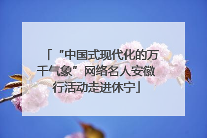 “中国式现代化的万千气象”网络名人安徽行活动走进休宁