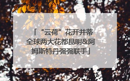 “云荷”花开并蒂 全球两大花都昆明&阿姆斯特丹强强联手