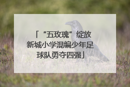 “五玫瑰”绽放 新城小学混编少年足球队勇夺四强