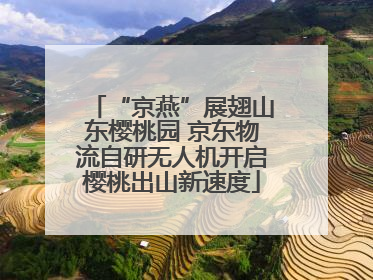 “京燕”展翅山东樱桃园 京东物流自研无人机开启樱桃出山新速度
