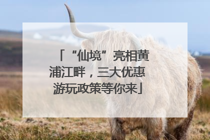 “仙境”亮相黄浦江畔，三大优惠游玩政策等你来