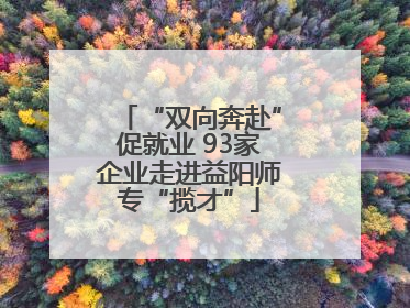 “双向奔赴”促就业 93家企业走进益阳师专“揽才”