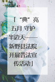 “典”亮五月 守护半边天——新野县法院开展普法宣传活动