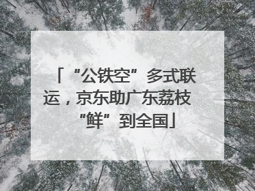 “公铁空”多式联运，京东助广东荔枝“鲜”到全国