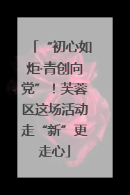 “初心如炬·青创向党”！芙蓉区这场活动走“新”更走心