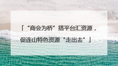 “商会为桥”搭平台汇资源，促连山特色资源“走出去”