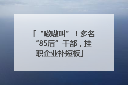 “嗷嗷叫”！多名“85后”干部，挂职企业补短板