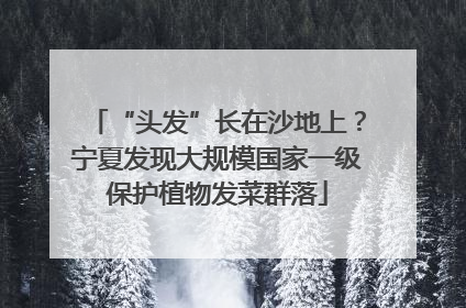 “头发”长在沙地上？宁夏发现大规模国家一级保护植物发菜群落