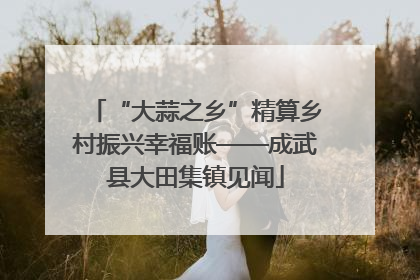 “大蒜之乡”精算乡村振兴幸福账——成武县大田集镇见闻