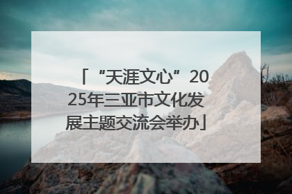 “天涯文心”2025年三亚市文化发展主题交流会举办