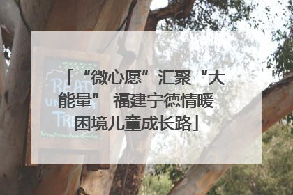 “微心愿”汇聚“大能量” 福建宁德情暖困境儿童成长路