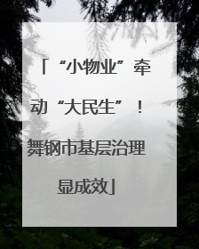 “小物业”牵动“大民生”！舞钢市基层治理显成效