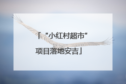 “小红村超市”项目落地安吉
