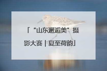 “山东邂逅美”摄影大赛｜夏至荷韵