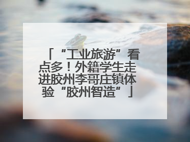 “工业旅游”看点多！外籍学生走进胶州李哥庄镇体验“胶州智造”