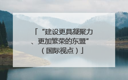 “建设更具凝聚力、更加繁荣的东盟”（国际视点）