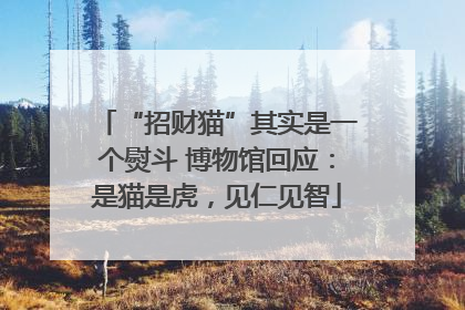“招财猫”其实是一个熨斗 博物馆回应：是猫是虎，见仁见智