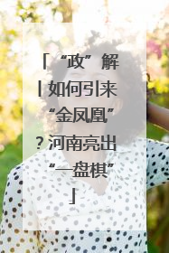 “政”解丨如何引来“金凤凰”？河南亮出“一盘棋”