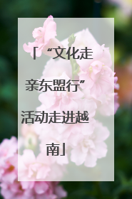 “文化走亲东盟行”活动走进越南
