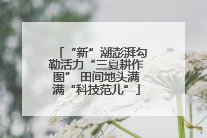 “新”潮澎湃勾勒活力“三夏耕作图” 田间地头满满“科技范儿”