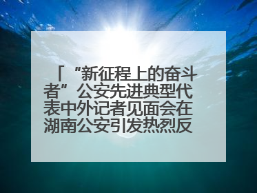 “新征程上的奋斗者”公安先进典型代表中外记者见面会在湖南公安引发热烈反响(二)
