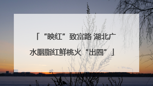 “映红”致富路 湖北广水胭脂红鲜桃火“出圈”