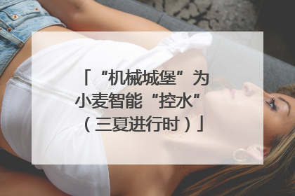 “机械城堡”为小麦智能“控水”（三夏进行时）