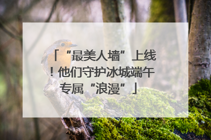 “最美人墙”上线！他们守护冰城端午专属“浪漫”