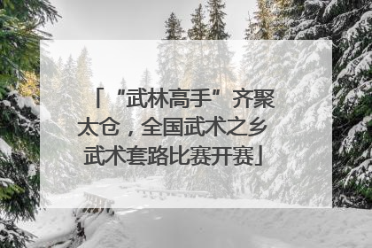 “武林高手”齐聚太仓，全国武术之乡武术套路比赛开赛